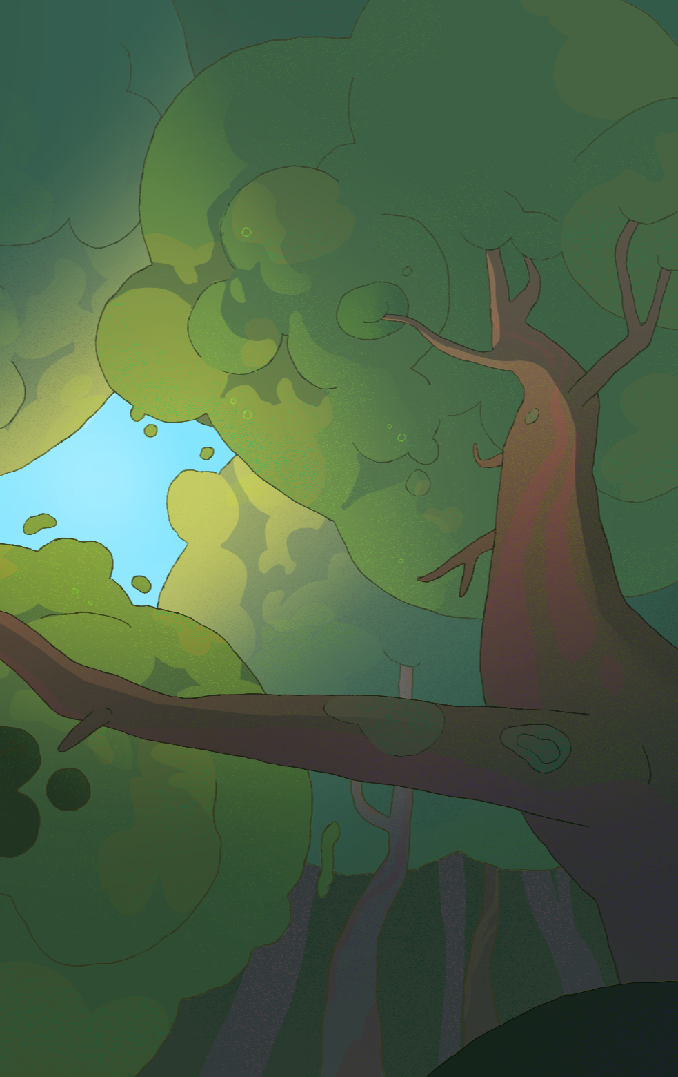 Illustration forêt — arbres et lumière